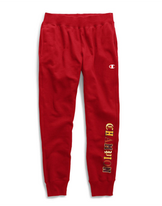 Champion life men's reverse weave pants with best sale pockets